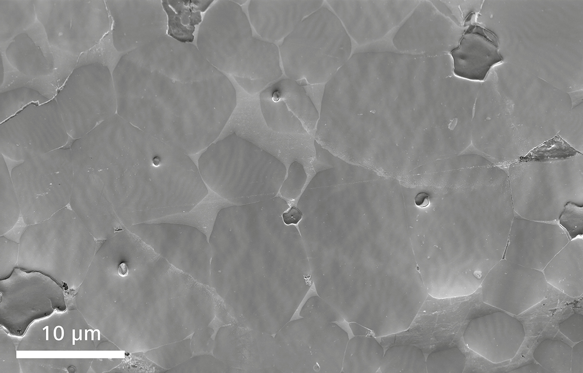 场发射武清扫描电镜